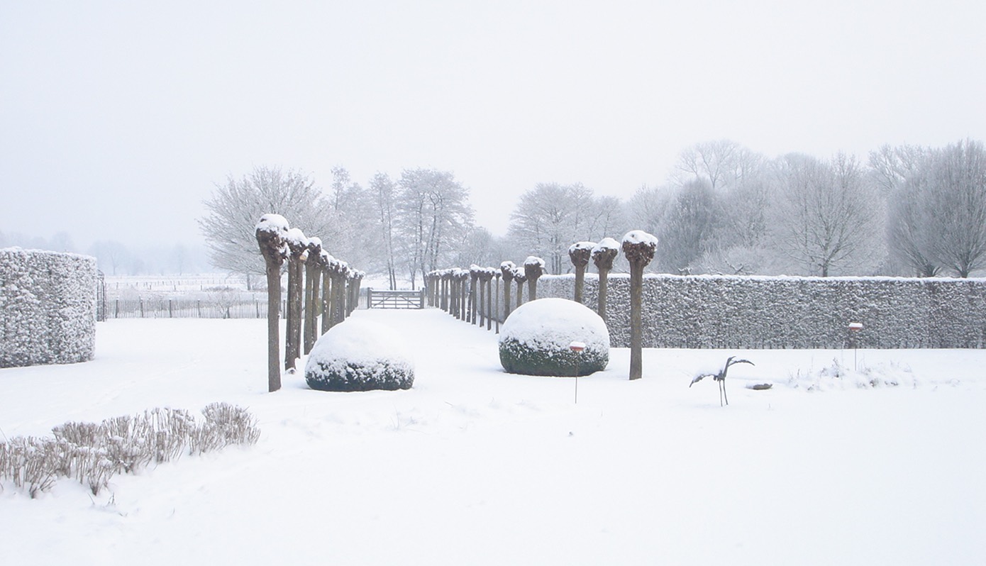 Truffelavond, winterspecial bij Hof te Rhode