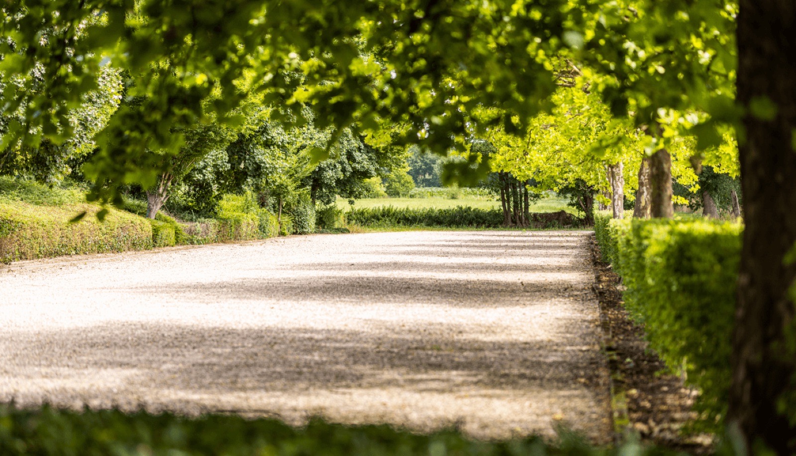 De verlichte parking van Hof te Rhode achter de bomen van de tuin