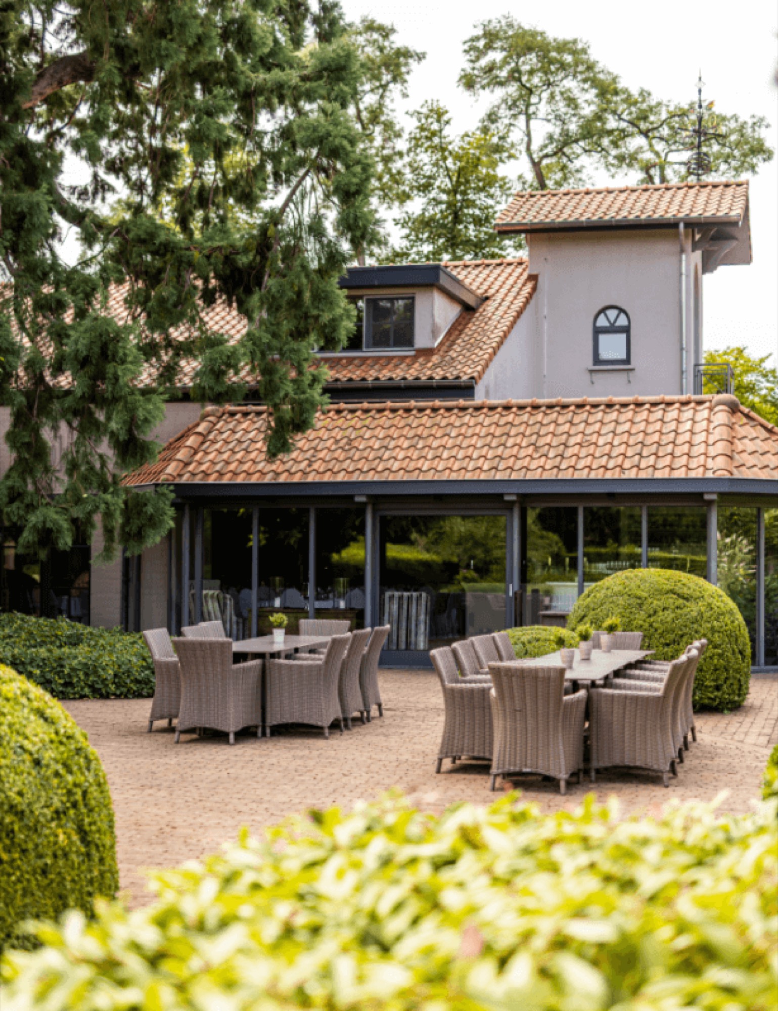 Een hoek van de tuin met hagen en borders